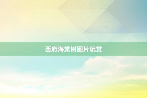 西府海棠树图片玩赏