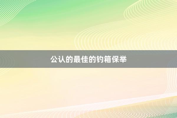 公认的最佳的钓箱保举