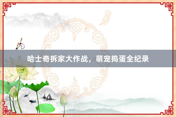 哈士奇拆家大作战，萌宠捣蛋全纪录